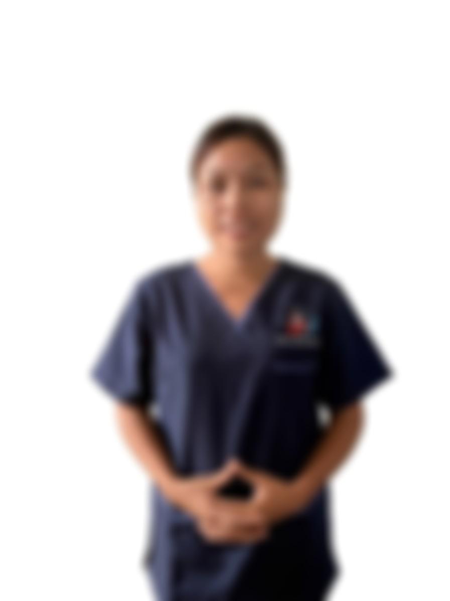 Myanmarese maid biodata