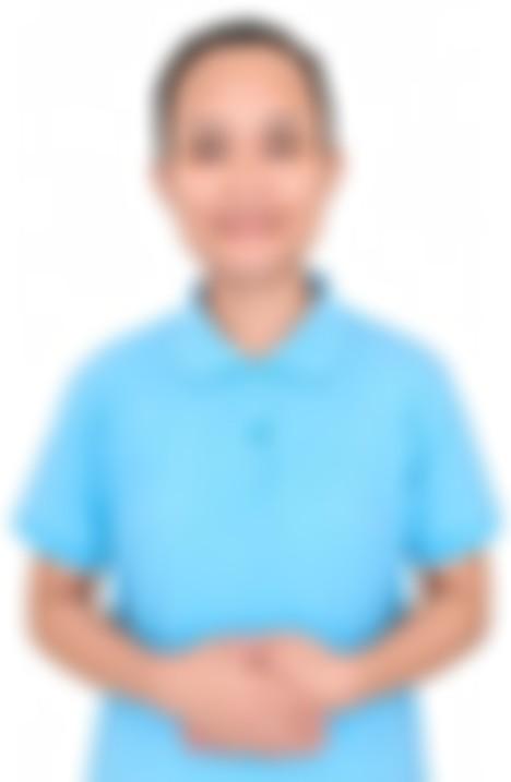 Myanmarese maid biodata