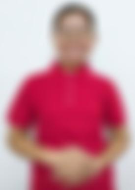 Myanmarese maid biodata