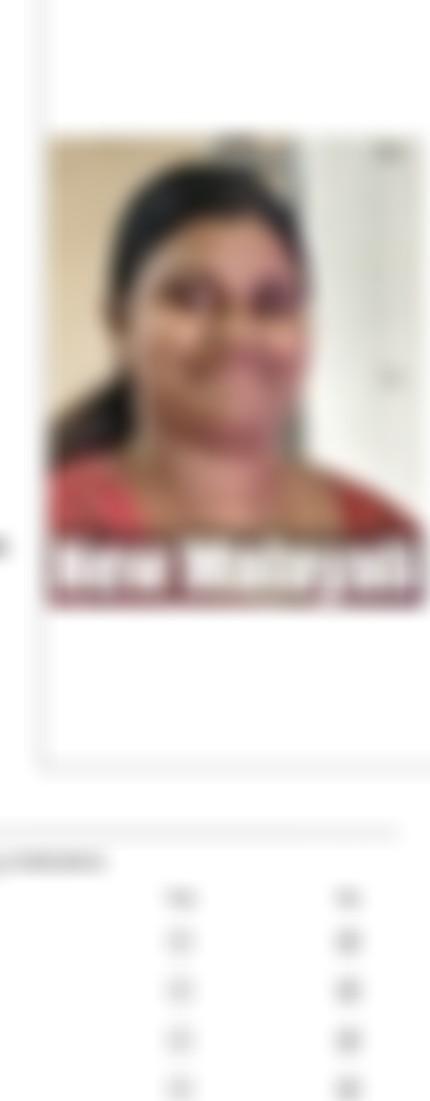 Others maid biodata