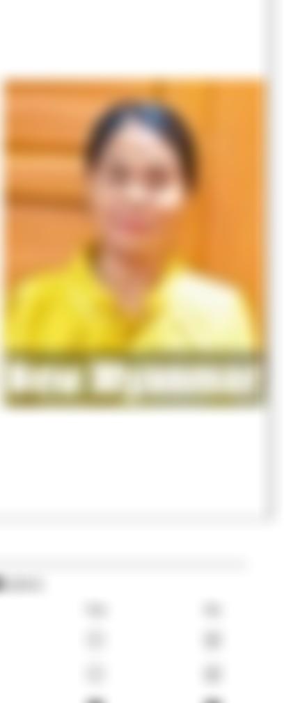 Myanmarese maid biodata